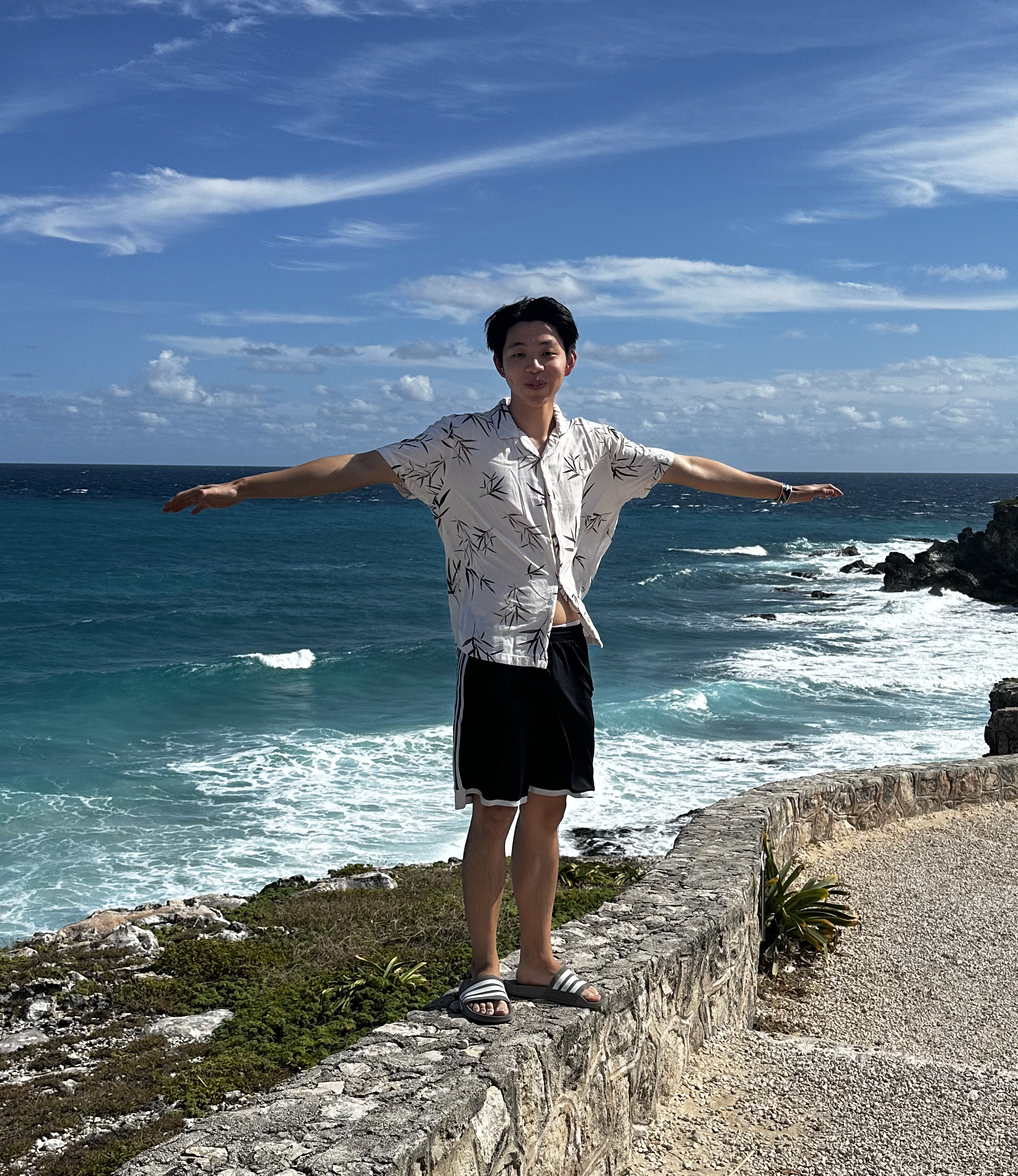 Alex Lin wang